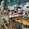 В мероприятиях конкурса ProfSkills Belarus 2025 участвуют представители Российской Федерации