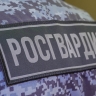В Пензе супружеская пара устроила пьяный дебош в баре