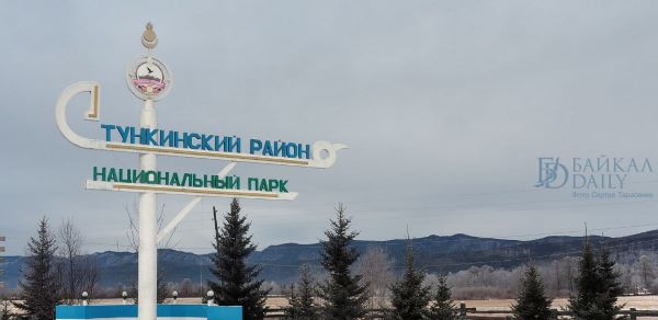 Житель Бурятии получил «условку» за незаконную рубку в нацпарке