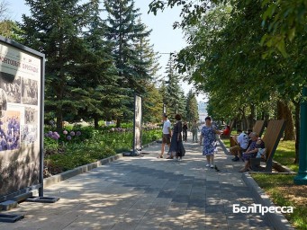 С помощью каких приёмов белгородцев заставляют поверить в фейки? (видео)