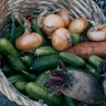 Проверка плодоовощной продукции в Пензенской области выявила единичные нарушения