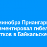 Глава минобра Приангарья прокомментировал гибель подростков в Байкальске