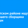 В Иркутском районе ищут пропавшего сборщика черемши