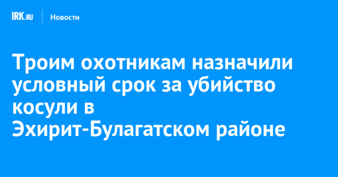 Троим охотникам назначили условный срок за убийство косули в Эхирит-Булагатском районе