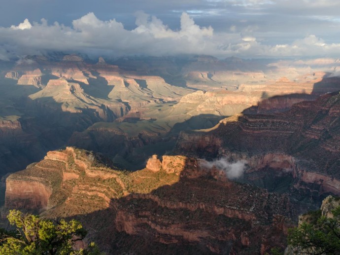 Палеонтолог Шиффбауэр обнаружил сложные формы жизни в кембрии Гранд-Каньона — Earth