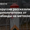 В Белоруссии рассказали о выгодополучателях от контрабанды на метеозондах