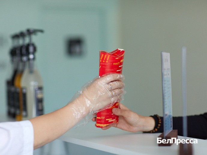 В 2025 году соцконтракт оформил 531 житель Белгорода