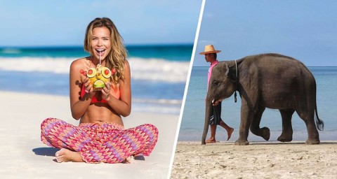 Гоа в ноябре: солнце, специи и скидки ждут россиян