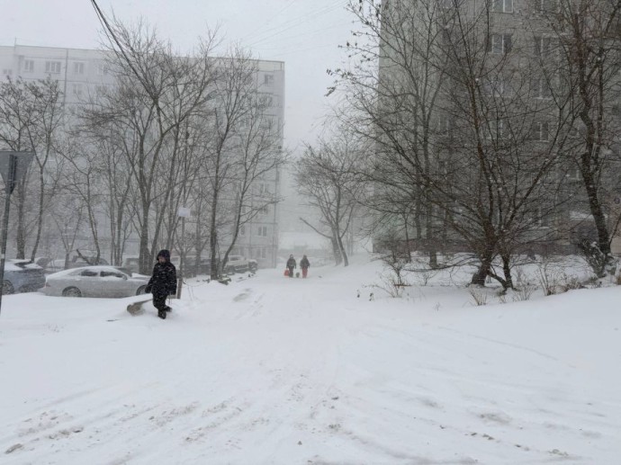 Сильный снегопад остановил общественный транспорт и обесточил сотни жителей Владивостока Сильный снегопад остановил общественный транспорт и обесточил сотни жителей Владивостока