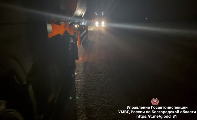 В Белгородской области грузовик насмерть сбил мужчину