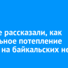 Ученые рассказали, как глобальное потепление влияет на байкальских нерп