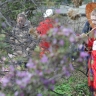 Молодые россияне заинтересовались культурой Востока