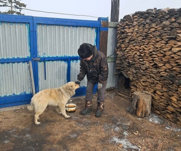 В Улан-Удэ для пса-отказника нашли новую семью