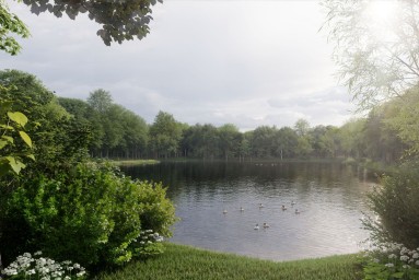 На юго-западе столицы приведут в порядок Новоясеневский пруд