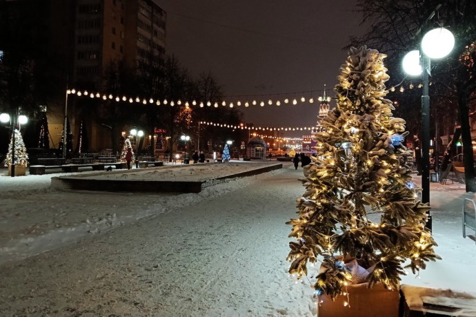 Новые елочки на бульваре Чавайна в Йошкар-Оле имеют особенный смысл