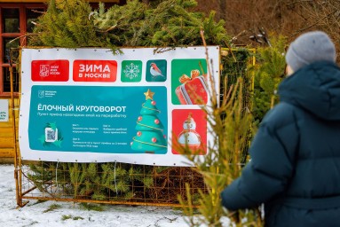 Акция «Елочный круговорот» начнется в столице 2 января