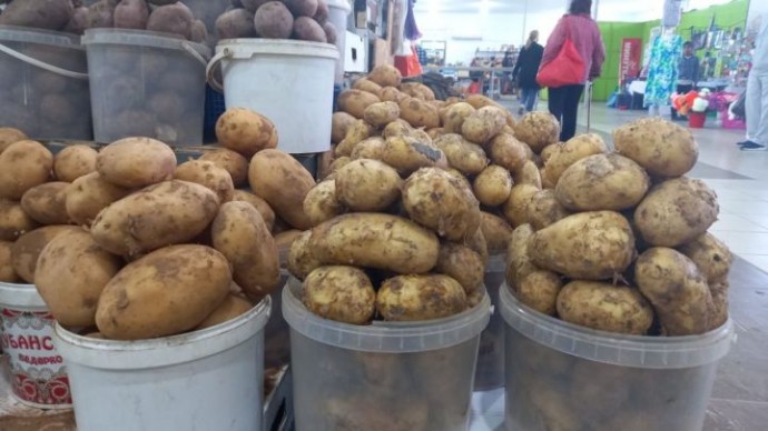 Как весенние заморозки отразятся на картофеле в России