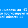 Метели и морозы до -43 градусов прогнозируют в Иркутской области 11 января