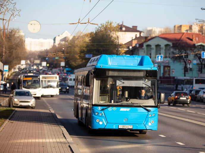 Новые остановочные павильоны на улицах Белгорода установят до 10 декабря 2025 года Новые остановочные павильоны на улицах Белгорода установят до 10 декабря 2025 года