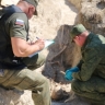 Офицеры СК принимают участие в поднятии останков бойцов Великой Отечественной войны и мирных граждан на территории Бахчисарайского района Республики Крым