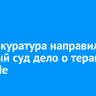 Генпрокуратура России направила в военный суд дело о теракте на БАМе