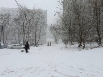 Сильный снегопад остановил общественный транспорт и обесточил сотни жителей Владивостока