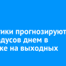 Синоптики прогнозируют до -15 градусов днем в Иркутске на выходных