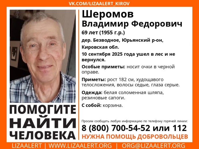 В лесах Юрьянского района пропал пожилой грибник