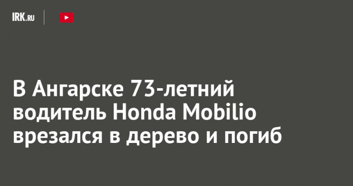 В Ангарске 73-летний водитель Honda Mobilio врезался в дерево и погиб