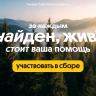 В 2025 году спасательный отряд «ЛизаАлерт» при поддержке Билайн нашел и спас 381 пропавшего ярославца