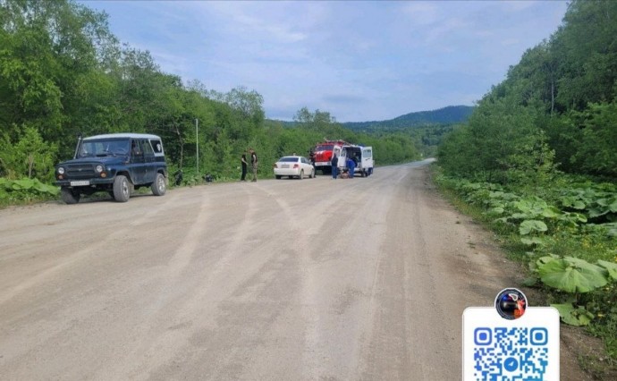 Неизвестный водитель на Toyota Windom на Сахалине слетел в кювет и сбежал, бросив пострадавшего