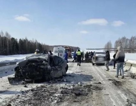 Пять человек погибли в ДТП Башкирии