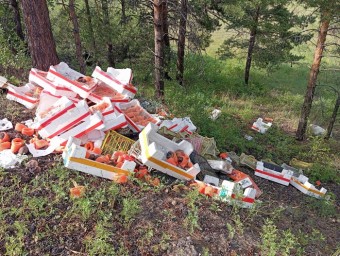 «Рублёвка местного разлива»: В пригороде Улан-Удэ выросла свалка из манго