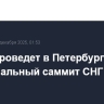 Путин проведет в Петербурге неформальный саммит СНГ