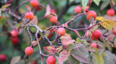 В Башкирии синоптики удивили прогнозом погоды