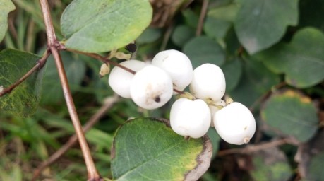 В Башкирии сохранится аномальное тепло