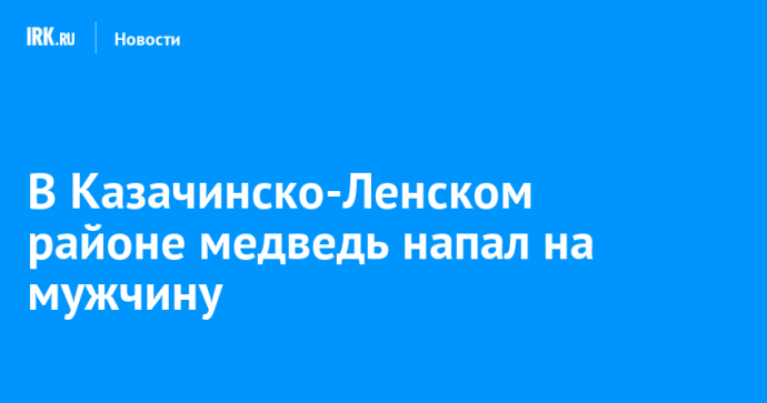 В Казачинско-Ленском районе медведь напал на мужчину