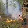 Лес загорелся около ЗАЭС после удара ВСУ