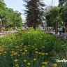 Как отдохнуть белгородцам 12–15 июня