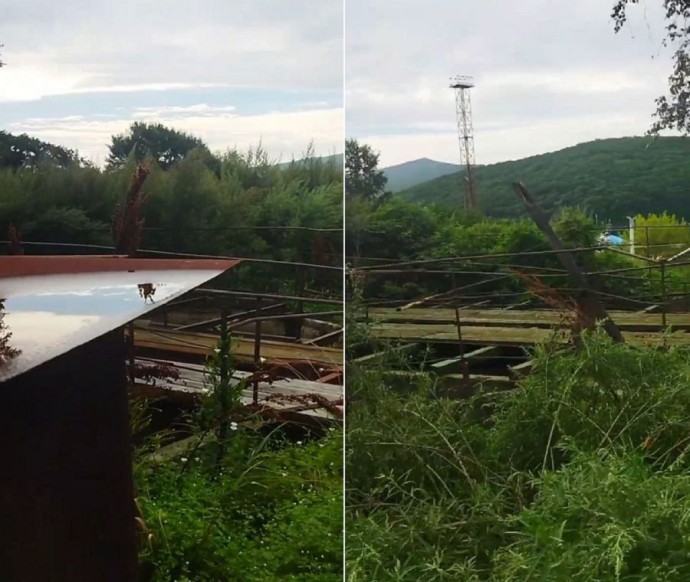 Экологическая катастрофа в Преображении: кто защитит Японское море