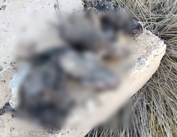 В канализации в райцентре Бурятии обнаружили четыре трупа В канализации в райцентре Бурятии обнаружили четыре трупа