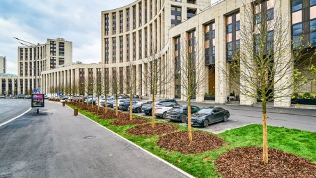 На проспекте Академика Сахарова началась осенняя высадка деревьев