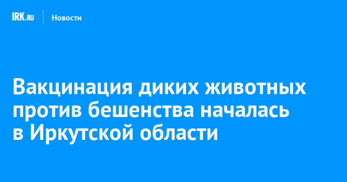 Вакцинация диких животных против бешенства началась в Иркутской области