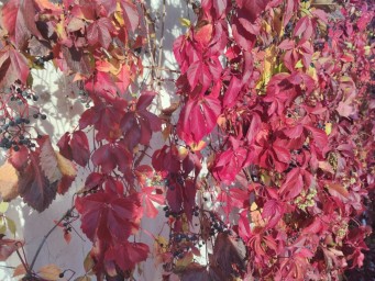 В Башкирии пообещали аномальную погоду на ноябрь, декабрь и январь