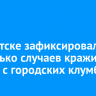 В Иркутске зафиксировали несколько случаев кражи цветов с городских клумб