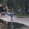 «Бессмертного» пешехода заметили в Благовещенске