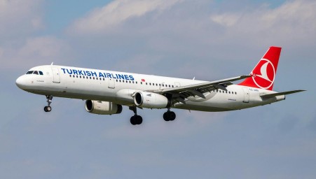 Полсотни чемоданов прилетели на Turkish Airlines на день позже своих владельцев
