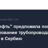 "Транснефть" предложила помощь в проектировании трубопровода из Венгрии в Сербию