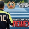 В Башкирии пешеходам рекомендовали соблюдать ПДД