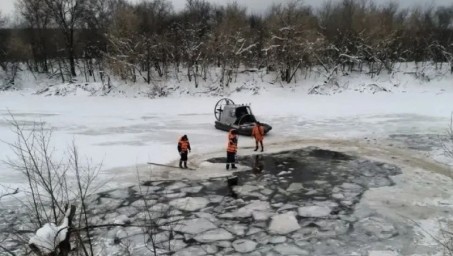 Массовая гибель в Башкирии — количество трупов может перевалить за тысячу